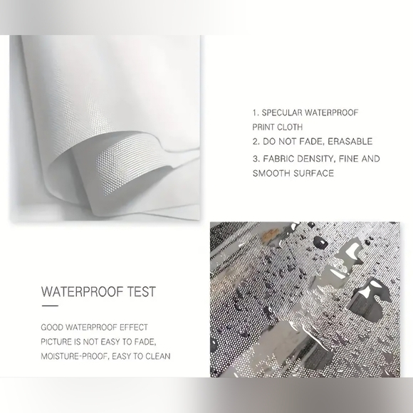 Pink Floyd Concert Canvas Art Print - Picture 2 of 5